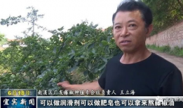 宜兴吃瓜爆料事件视频,视频揭露惊人内幕