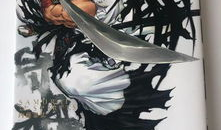 侍魂动漫,剑影交织的战国传奇